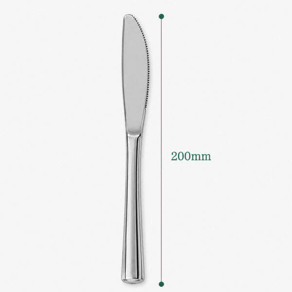 Silver Disposable Knife for Catering Service