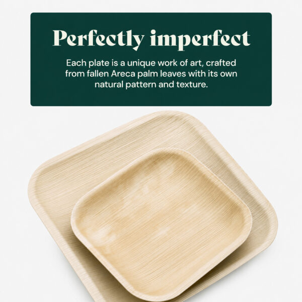 Square Areca Palm Leaf Plates for Catering