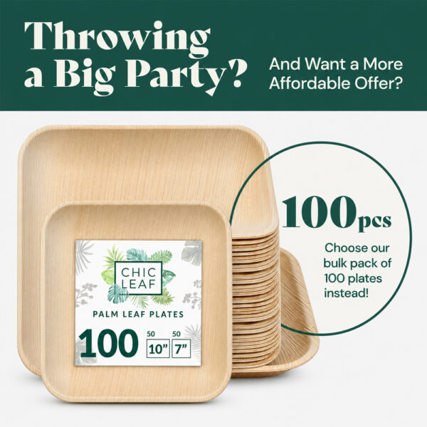 Square Areca Palm Leaf Plates for Catering