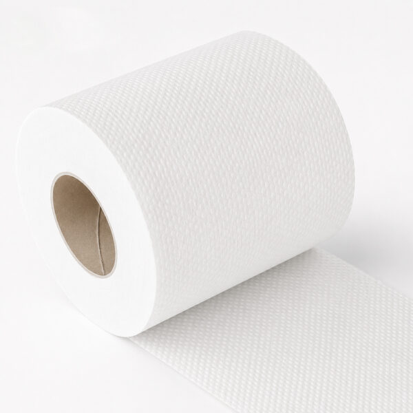 Toilet Paper Rolls in 12-Roll Handle Bag Pack Toilet Paper Rolls in 12-Roll Handle Bag Pack