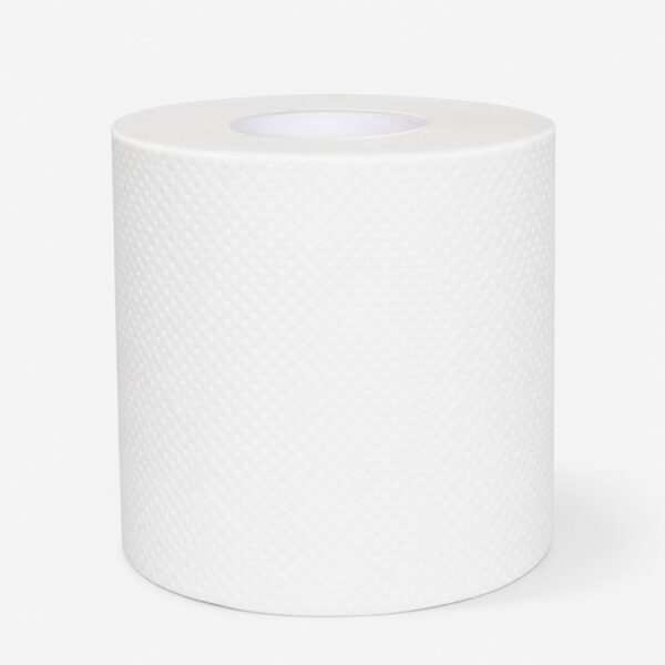 Toilet Paper Rolls in 12-Roll Handle Bag Pack Toilet Paper Rolls in 12-Roll Handle Bag Pack