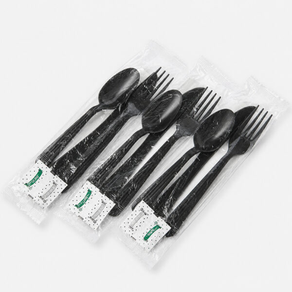 Wrapped Disposable Cutlery Set for Takeaway Meals Wrapped Disposable Cutlery Set for Takeaway Meals