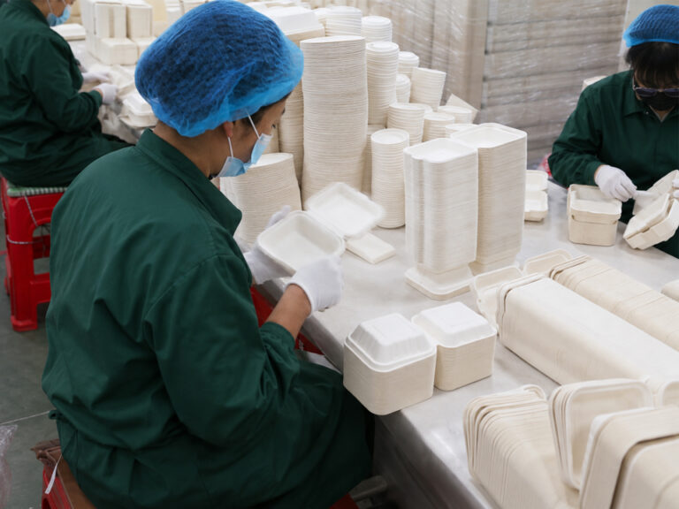 Contrôle qualité de la vaisselle en bagasse : liste de contrôle en 15 points à l'intention des acheteurs