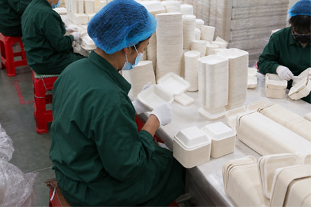 Disposable foodservice packaging product range manufactured by Xcellink EcoPack