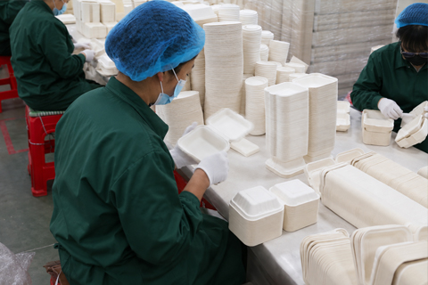 Disposable foodservice packaging product range manufactured by Xcellink EcoPack